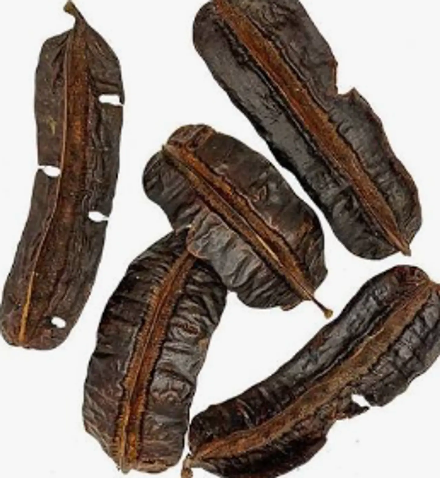 Fava Aridan 1