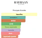 Rayhaan Elixir - Thumbnail 2