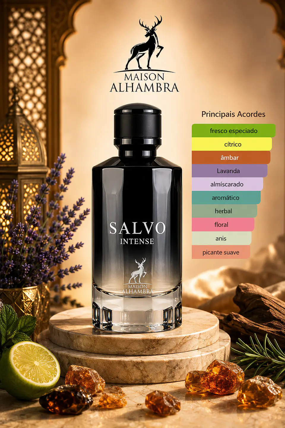 Salvo Intense - Maison Alhambra 2