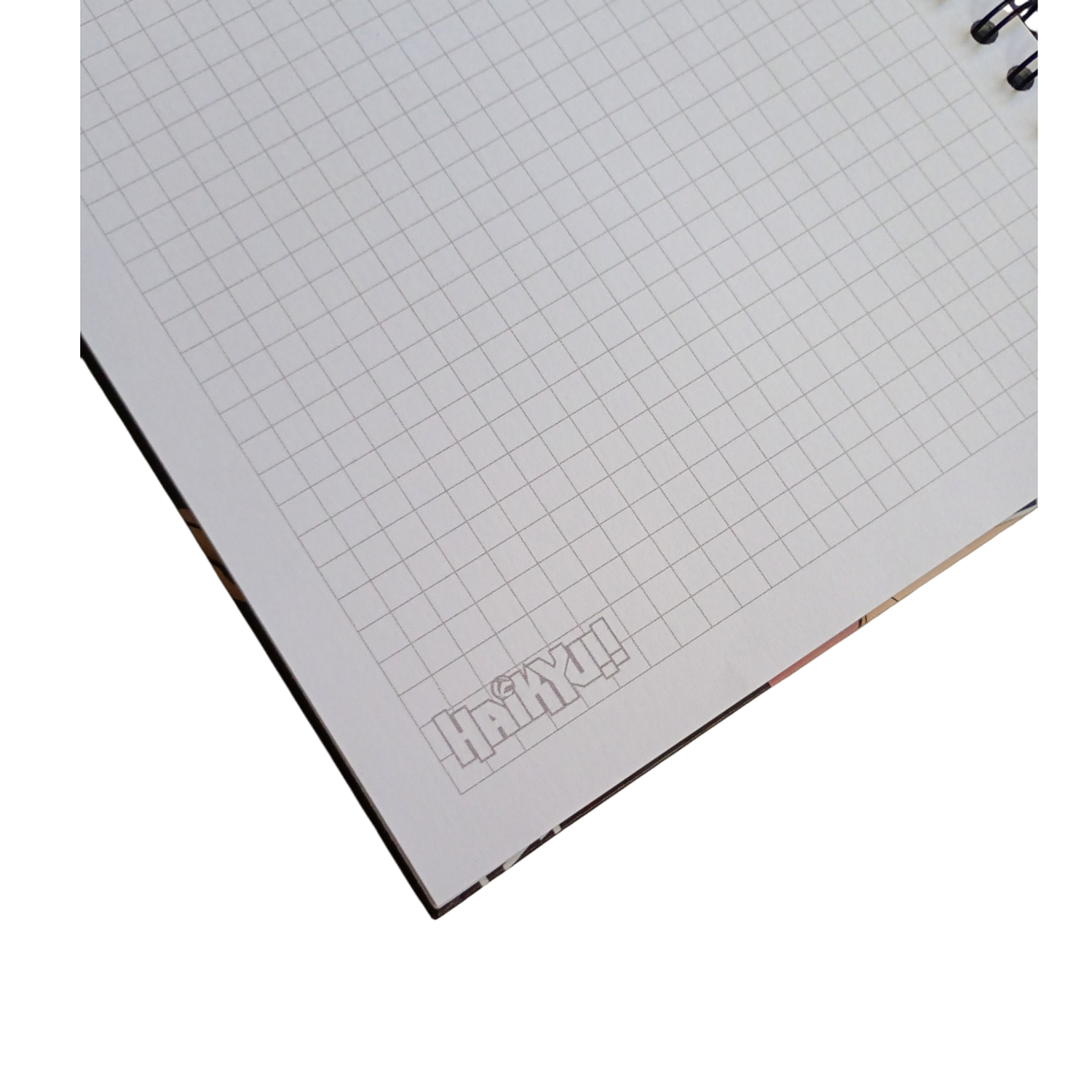 Cuaderno Haikyu - Hermanos Miya 3