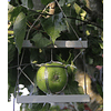 Dendrómetro para Frutas y Vegetales (Diámetro 0-11 cm)