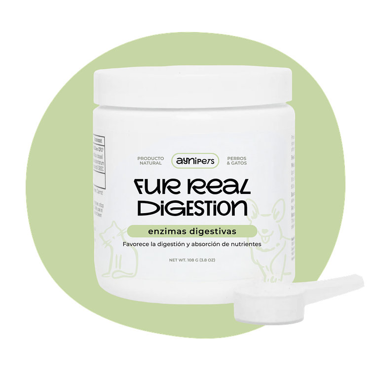 Fur Real Digestion 1