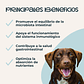 Fur Real Wellness - Miniatura 2