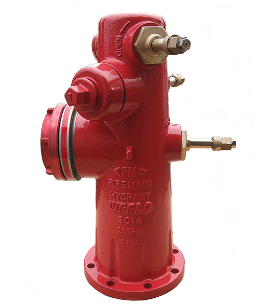 Hidrante de Columna Húmeda marca Weflo modelo F1311-250-2H1PSA