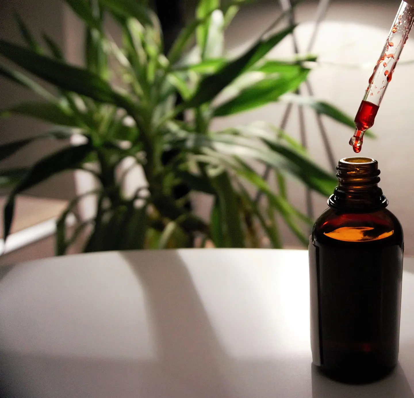 Proteínas y creatinas