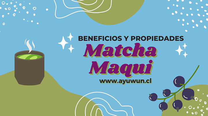 Propiedades y beneficios del Té Matcha Maqui