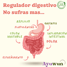 Regulador Digestivo