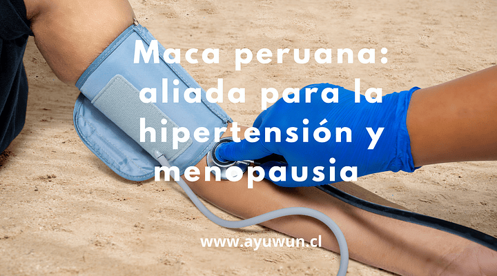 Cómo la maca peruana ayuda a controlar la hipertensión durante la menopausia