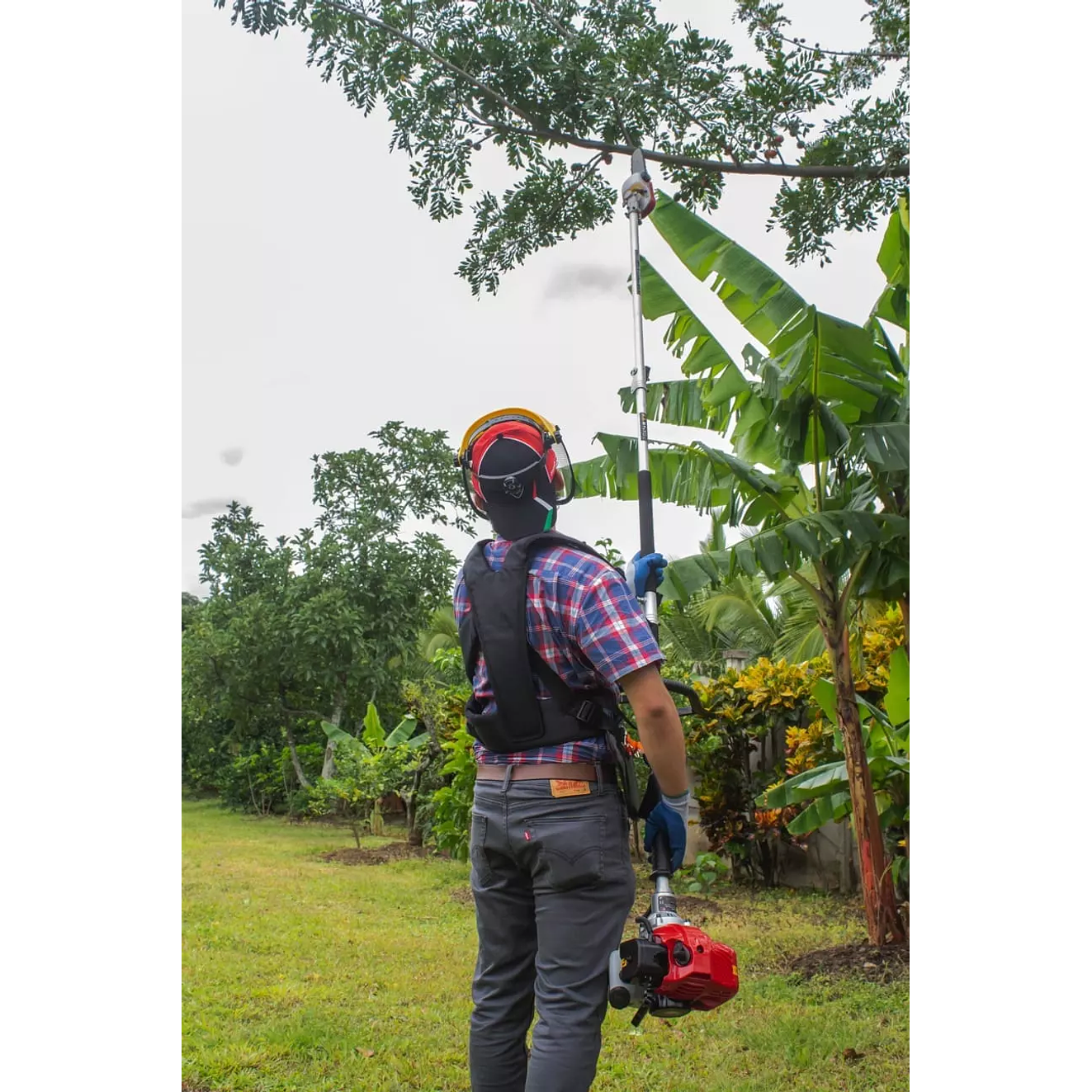 Guadaña Multifuncional Ducati 32.6cc DBC3300M: Motor 2 tiempos, 32.6 CC, 0.9 kW. 2