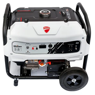 Planta Eléctrica Ducati Gasolina DGR5500 6000W - 110/220V