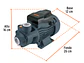 Bomba eléctrica periférica para agua Truper 12114 1 HP  - Miniatura 6 | aztools.co