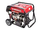 Generador Eléctrico FORTE FG8000 Planta a Gasolina Portátil 8000W - Miniatura 3 | aztools.co