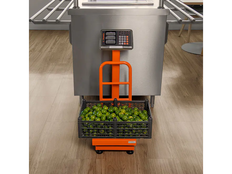 Báscula de Plataforma Plegable Truper 15729: 100 kg de capacidad - Foto 6 | aztools.co