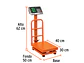 Báscula de Plataforma Plegable Truper 15729: 100 kg de capacidad - Miniatura 3 | aztools.co