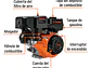 Motor a gasolina Truper 101328, 9 HP  - Miniatura 2 | aztools.co