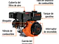 Motor a gasolina Truper 101327, 6.5 HP  - Miniatura 2 | aztools.co