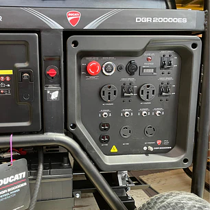 Planta eléctrica 20kVA / 20kW gasolina 110/220V DUCATI DGR20000ES | Bifásica