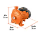 Bomba Centrífuga para Agua Truper 10073, 3/4 HP, Modelo Europeo - Miniatura 2 | aztools.co