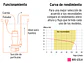 Bomba Sumergible para Agua Truper 100169, 1/2 HP - Miniatura 4 | aztools.co