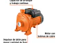Bomba Centrífuga para Agua Truper 10066, 2 HP, Modelo Europeo - Miniatura 2 | aztools.co