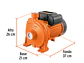 Bomba Centrífuga para Agua Truper 10066, 2 HP, Modelo Europeo - Miniatura 5 | aztools.co