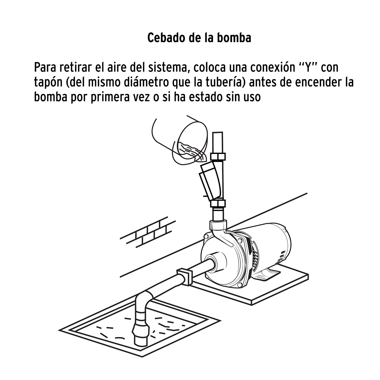 Bomba Centrífuga para Agua Truper 100433, 1 HP 4