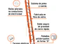 Escalera de extensión Truper 16757, tipo II, 24 peldaños, fibra de vidrio