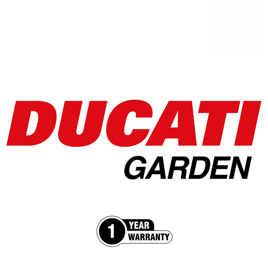 Cortacésped DUCATI DLM5600E 5.9 HP 224cc (22