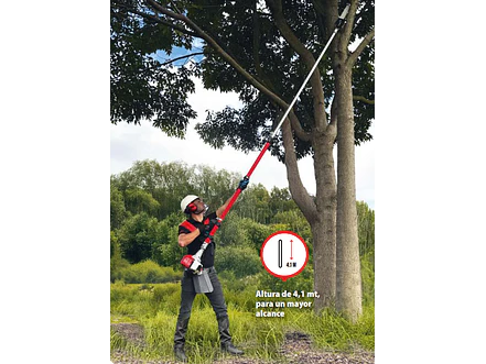 Podador de Altura Telescópico a Gasolina 26cc 0.7kW FORTE FZJ260AE 3m - 4.1m - Foto 4 | aztools.co