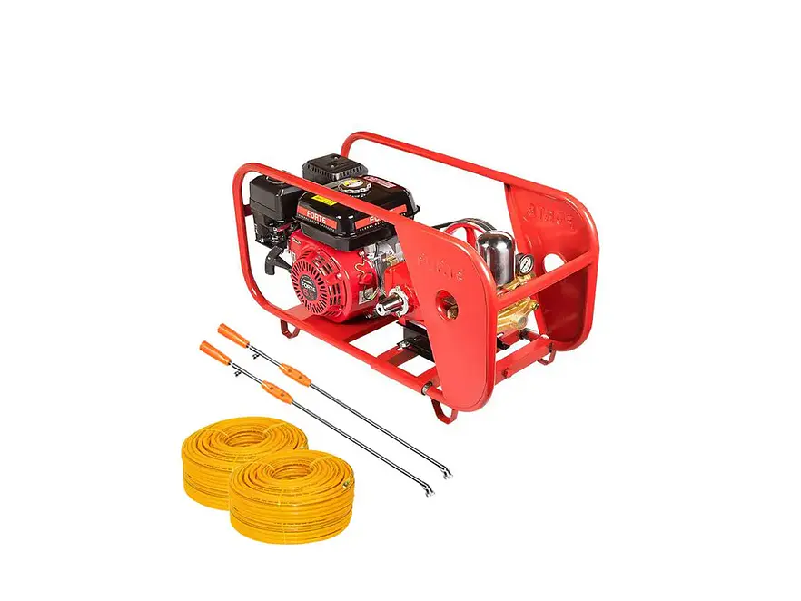 Fumigadora Estacionaria 6.5HP FORTE TF30NEF-GM200K Doble Manguera y Lanza 500 PSI - Foto 1 | aztools.co