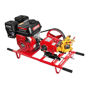 Fumigadora Estacionaria 6.5HP FORTE-ORUS TO30A-GM200 Retorno Automático 500 PSI