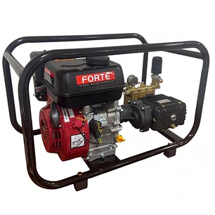 Fumigadora Estacionaria 6.5HP FORTE TF328CZ-GM200 Acople Directo 500 PSI
