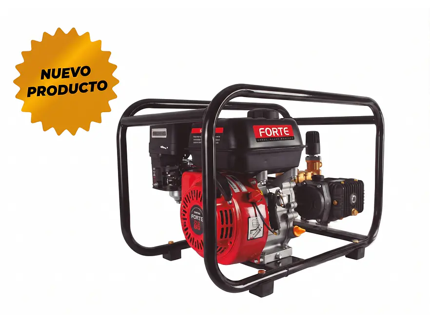 Fumigadora Estacionaria 6.5HP FORTE TF328CZ-GM200 Acople Directo 500 PSI - Foto 1 | aztools.co