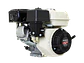 Motor a Gasolina Honda GP200H CH1 6.5HP 1800 RPM Eje Cuña 20mm Reductor - Miniatura 2 | aztools.co