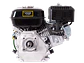 Motor a Gasolina Economax ME200K PQ 6.5HP 3600RPM Eje Cuña-Rosca 3/4” - Miniatura 3 | aztools.co