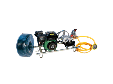 Motofumigadora Ecomax ME200-ES22 Motor Ecomax 6.5HP Bomba 14LPM 500PSI - Foto 2 | aztools.co