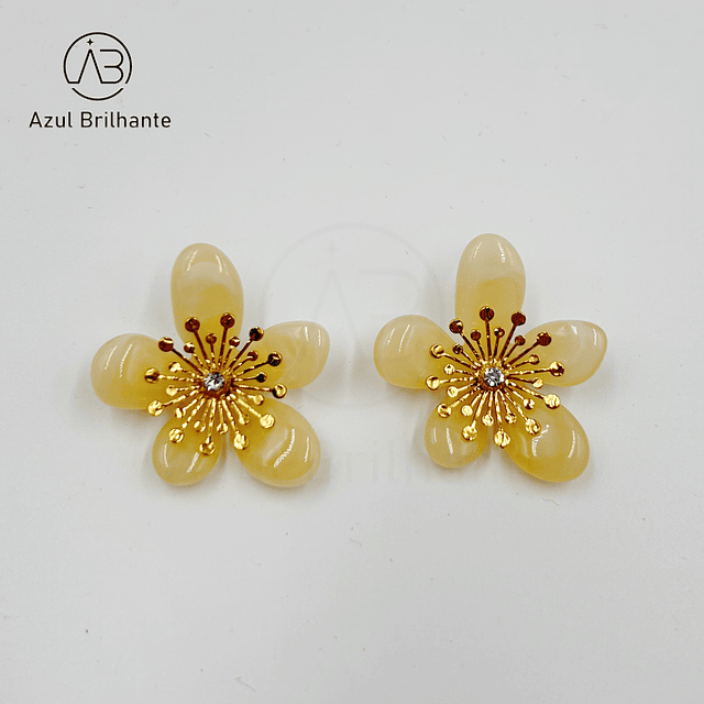 Brincos de Flor 2