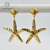 Brincos de Estrela do Mar 1