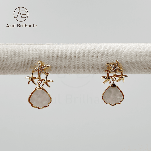 Brincos de Estrelas do Mar 1