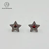 Brincos de Estrela 2