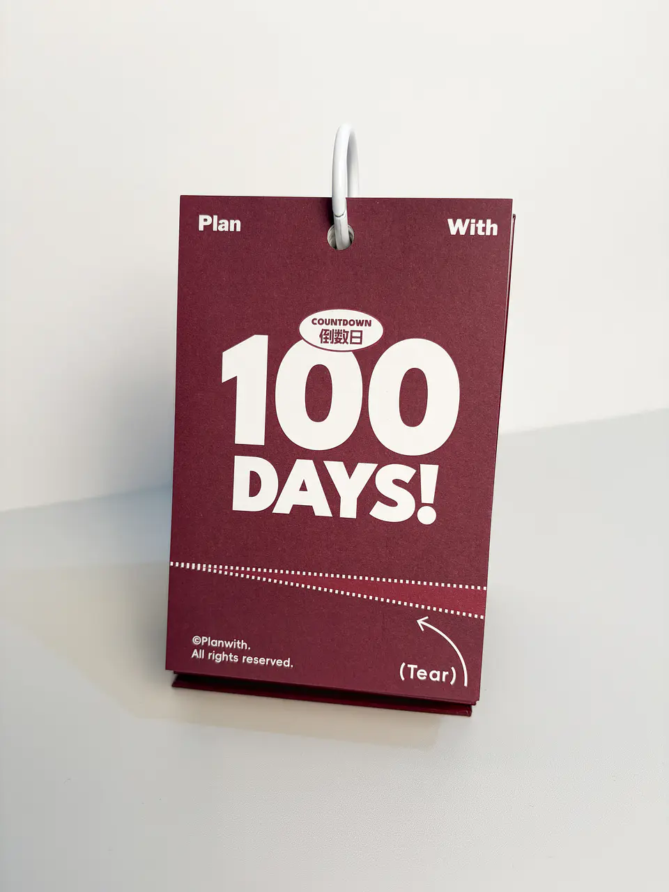 Calendario cuenta regresiva de 100 dias | XL263417 4