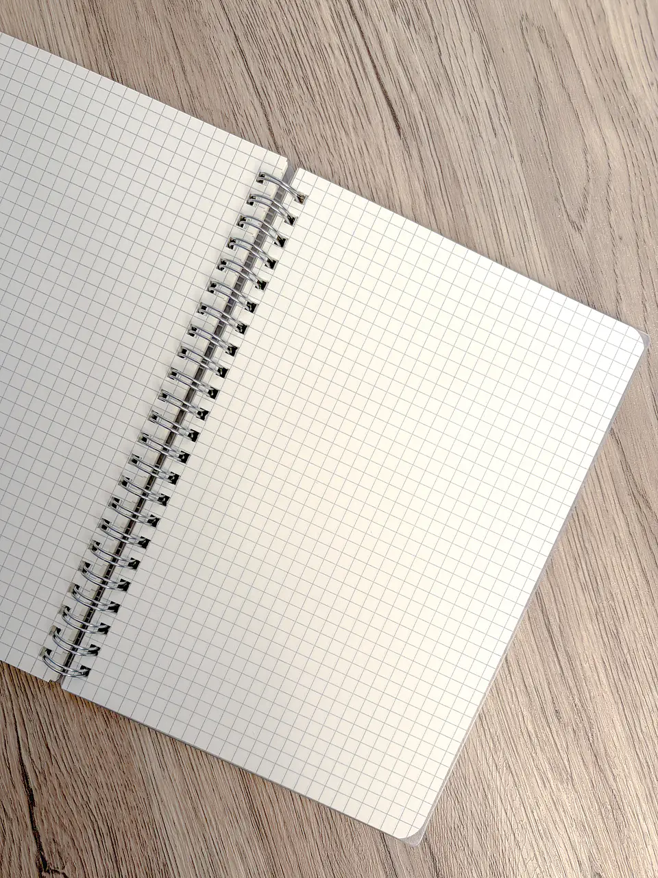 Cuaderno anillado cuadriculado A5 | XL263117 2