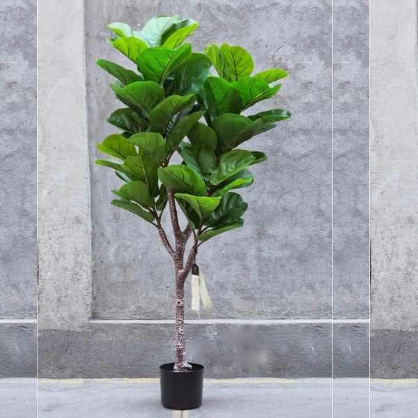 Árbol Gomero decorativo 1.30 mt