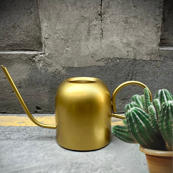 Regadera Deco Gold