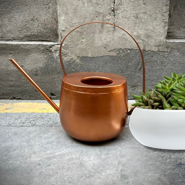 Regadera Deco Cobre