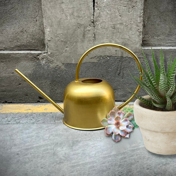 Regadera Deco Small Gold