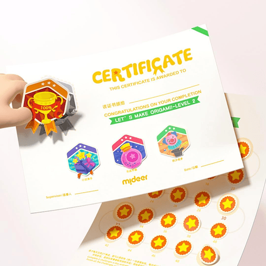 LIBRO DE ORIGAMI NIVEL 2