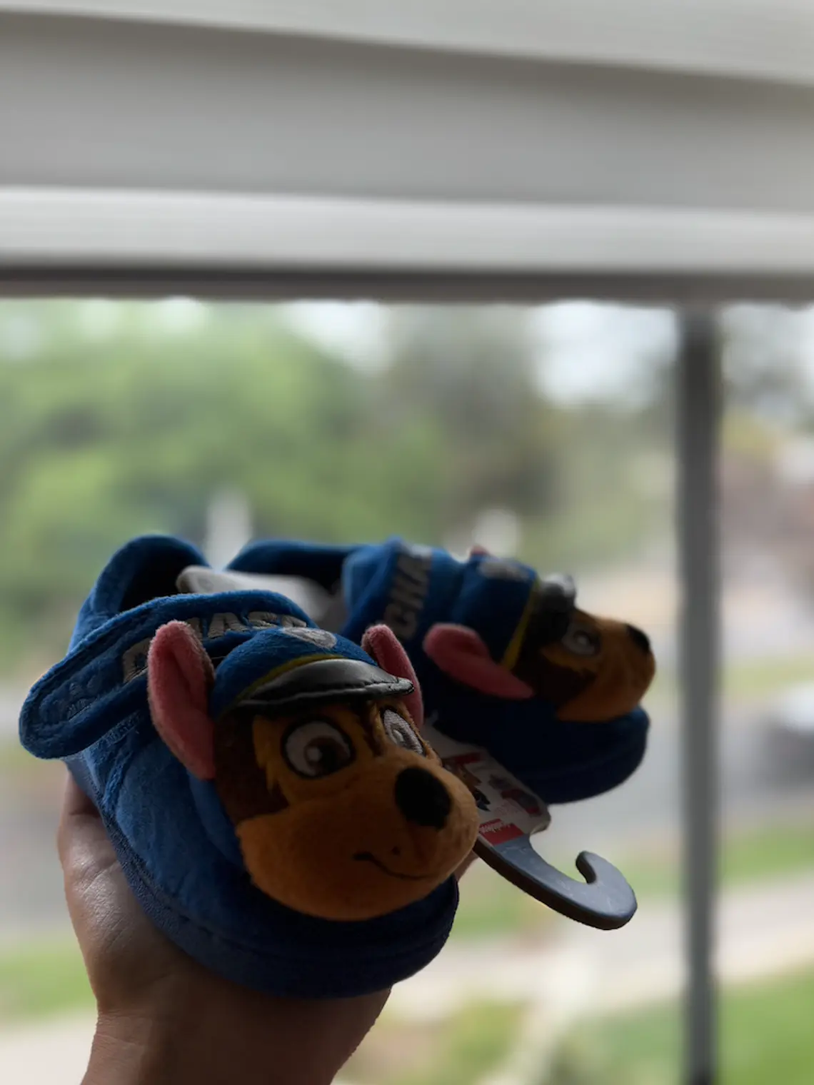 Pantuflas Paw patrol 1