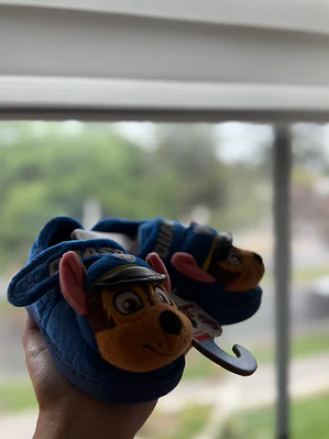 Pantuflas Paw patrol
