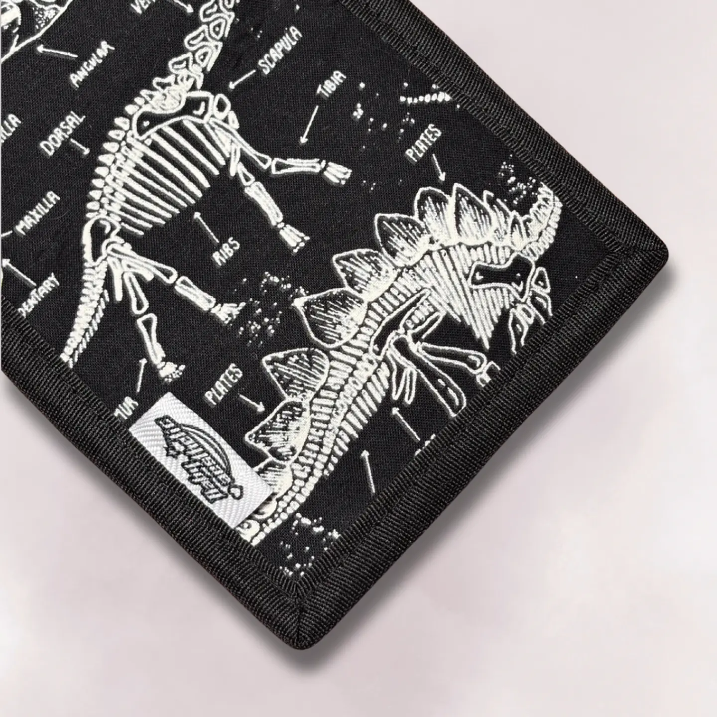 Billetera huesos de dinosaurios  3